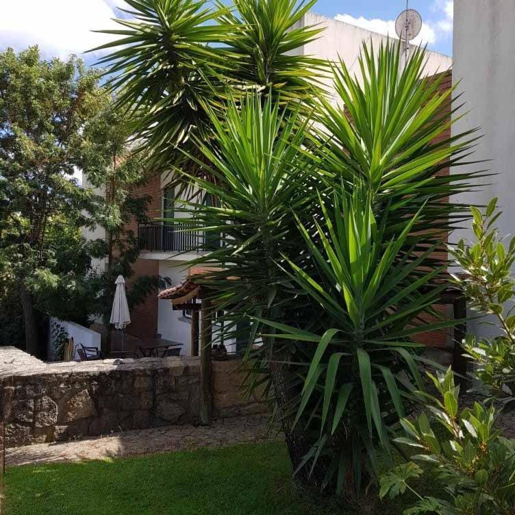Alto Do Sobreiro Villa Escalos de Cima Exterior foto